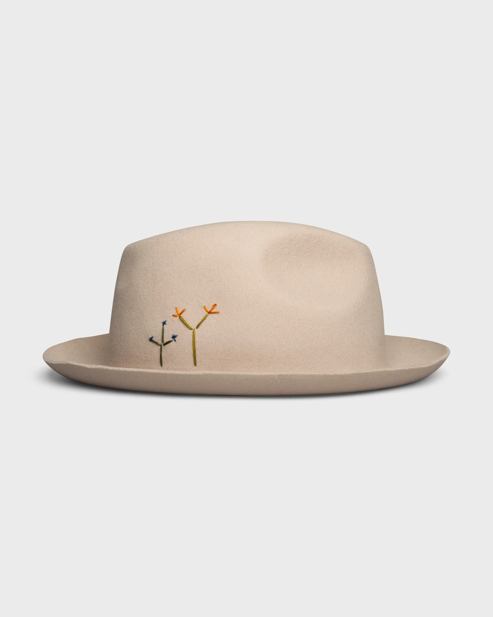 Hobo Silverbelly Cactus - Image 5