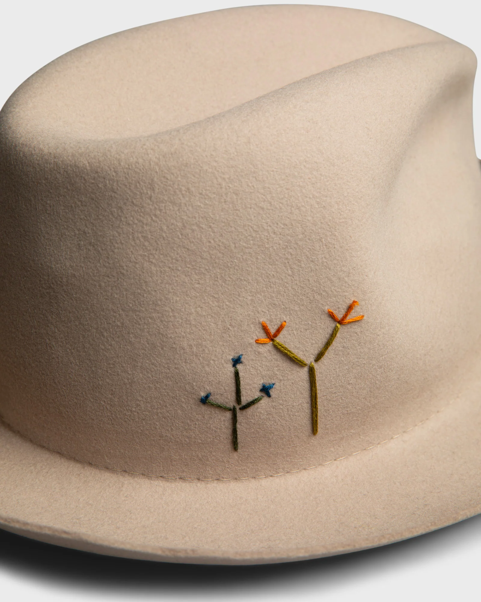 Hobo Silverbelly Cactus - Image 7